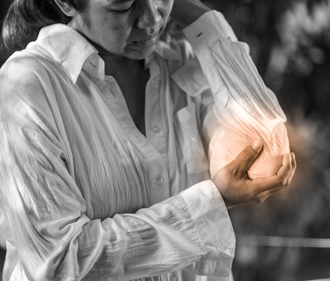shutterstock_2453880649 1 (74)